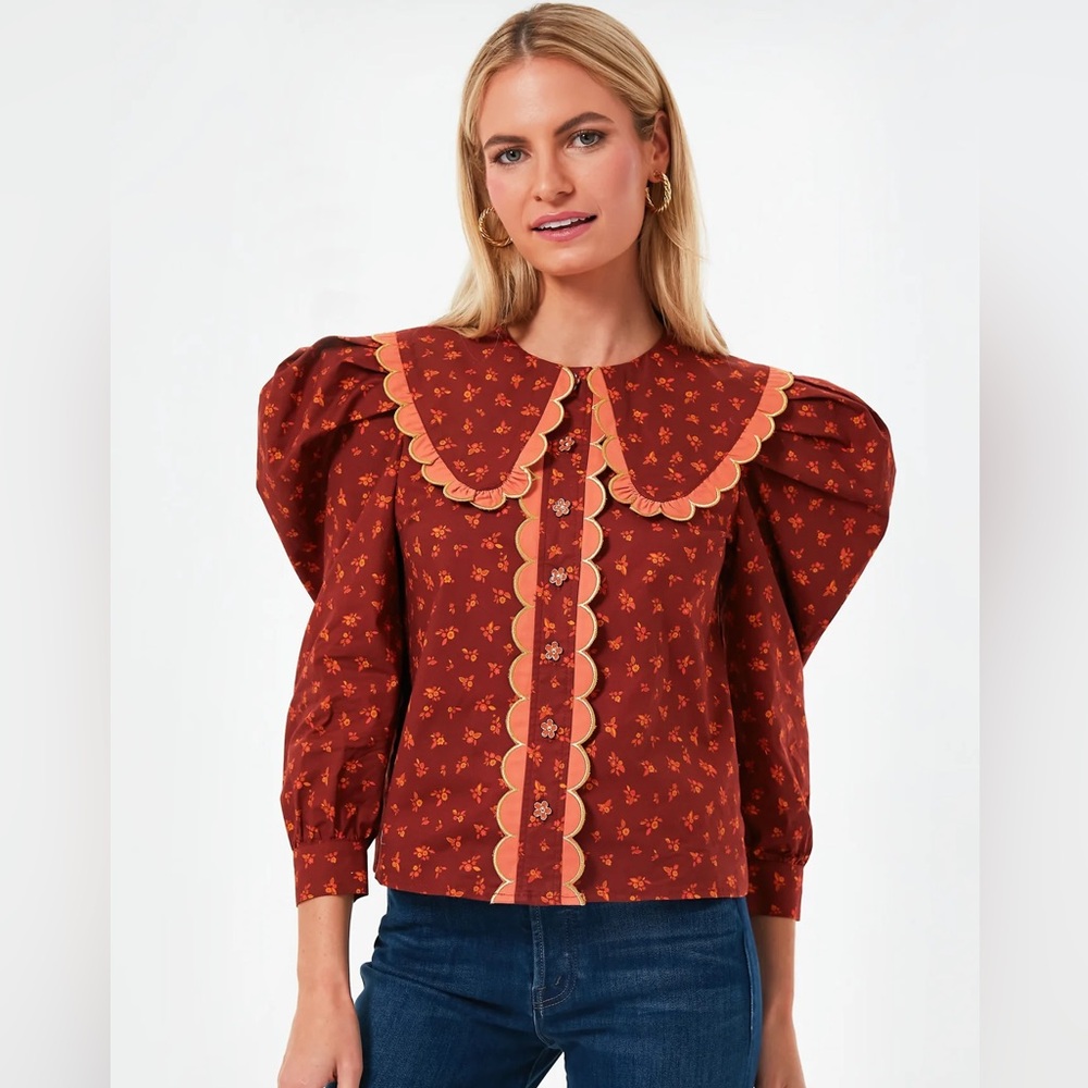NEW with tags CeliaB brown top with flowers, vintage inspired